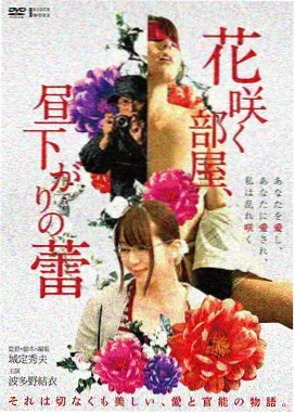 长夜档案室站点封面